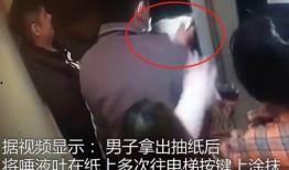 2男2女视频在线观看,2男2女共度美好时光