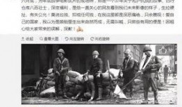 惠东民声爆料事件始末视频,真相与争议的交织