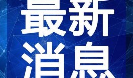 张良黄金爆料视频大全最新,视频大全深度解析