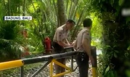 巴厘岛情侣身亡最新爆料,疑点重重，真相待解