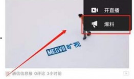 爆料视频用的音色,爆款视频背后的神秘音色之谜