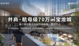 雅居乐爆料最新消息,揭秘企业动态与未来发展规划”