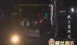 贼王最新爆料视频大全集,最新爆料视频大全集深度解析