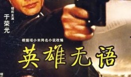 电影英雄无语在线观看,探寻无声英雄的壮丽传奇