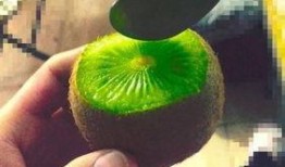 抖音网红吃瓜大全,揭秘热门事件背后的真相与笑料