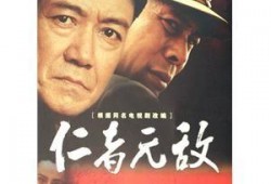 仁者无敌在线观看,探寻正义与力量的传奇之旅