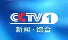 雷州电视台爆料新闻视频,重大新闻事件深度解析