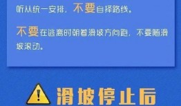 珠海每日爆料新闻最新消息