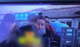 爆料日本离婚案件视频