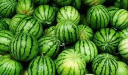 免费的吃瓜群在哪里找啊,轻松加入，畅享娱乐资讯