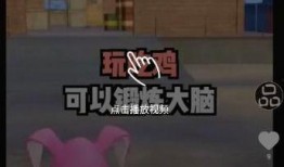 各种爆料小视频下载软件,功能解析与使用技巧