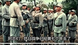 抗日老英雄爆料视频最新,那段烽火岁月的惊心动魄与英勇事迹