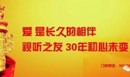 秦皇岛外卖爆料视频大全,揭秘美食背后的故事