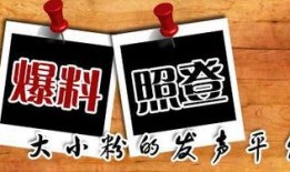 潮州爆料曝光新闻,最新曝光新闻盘点