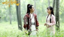 西涯侠电视剧在线观看,江湖传奇，侠骨柔情，在线观看重温经典