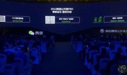 最新爆料雷电将军视频播放,神秘力量觉醒，战斗风格颠覆想象！
