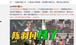 刘小妖诈骗爆料视频,视频爆料揭露惊人内幕