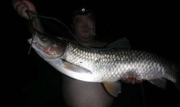 沙坑大鲤鱼爆料视频大全,揭秘幕后真相与精彩瞬间