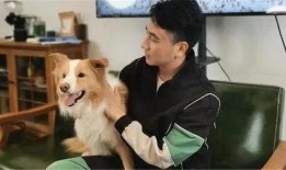 狗子爆料周冬雨视频播放,揭秘幕后故事