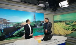 雷州电视台爆料新闻视频,重大新闻事件深度解析