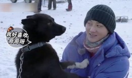 狗子爆料周冬雨视频播放,揭秘幕后故事