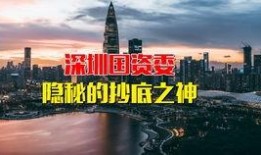 深圳财经爆料新闻最新,揭秘最新投资热点与市场趋势
