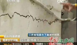 瑞昌新闻爆料,揭秘当地热点事件背后的真相
