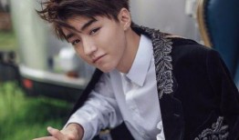 刘大锤爆料王俊凯凶宅视频,揭秘娱乐圈惊悚事件