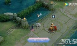 王者爆料阿洋视频大全集