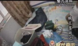 贼王最新爆料视频大全集,最新爆料视频大全集深度解析