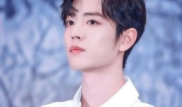 肖战最新消息爆料,揭秘近期热点事件背后的真相