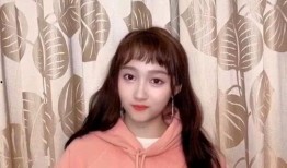 鹿晗反面爆料视频,揭秘明星背后的真相