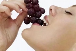 哑舍最新爆料吃葡萄,神秘葡萄引出惊天秘密，古玩世界再掀风云