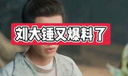 娱乐圈刘大锤爆料是真的吗,真相还是谣言？