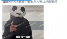 刘大锤三月爆料视频,热点事件背后的真相