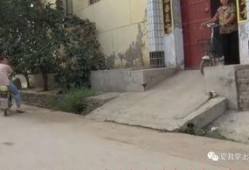 夏县周村爆料事件视频,视频揭露惊人真相
