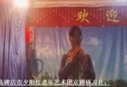 魅力研习社全集在线观看,揭秘魅力修炼之道