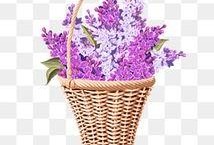 花篮网爆料最新网站大全,最新网站大全汇总，一网打尽全网精彩