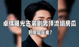 娱乐圈的大瓜爆料是什么