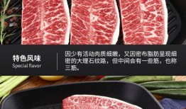 原切牛排爆料视频大全集,视频大全集深度解析