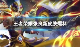 王者张良新皮肤爆料视频,王者风范，神秘面纱即将揭晓