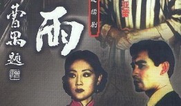 雷雨1984在线观看,重温经典，感受时代变迁的戏剧魅力