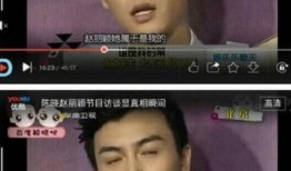 于正爆料陈晓酒后视频,于正爆料引发热议