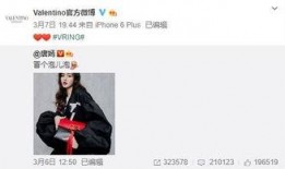 罗利岛最新爆料,最新爆料揭示不为人知的岛国风云