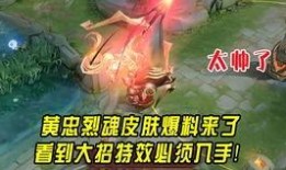 王魄新皮肤爆料视频下载