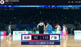 吉林队最新爆料,最新爆料揭示球队备战细节与备战策略”