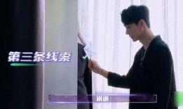 男神最新爆料视频大全集,最新爆料视频大全集深度解析