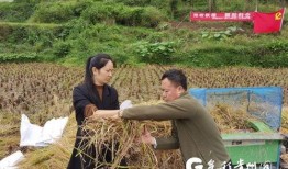 谷子爆料小石头视频