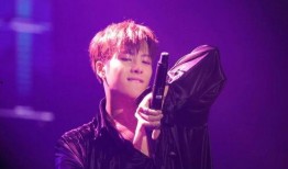 爆料王嘉尔视频大全,揭秘偶像背后的精彩瞬间