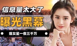 盘点爆料娱乐圈黑幕,盘点那些鲜为人知的黑幕与真相